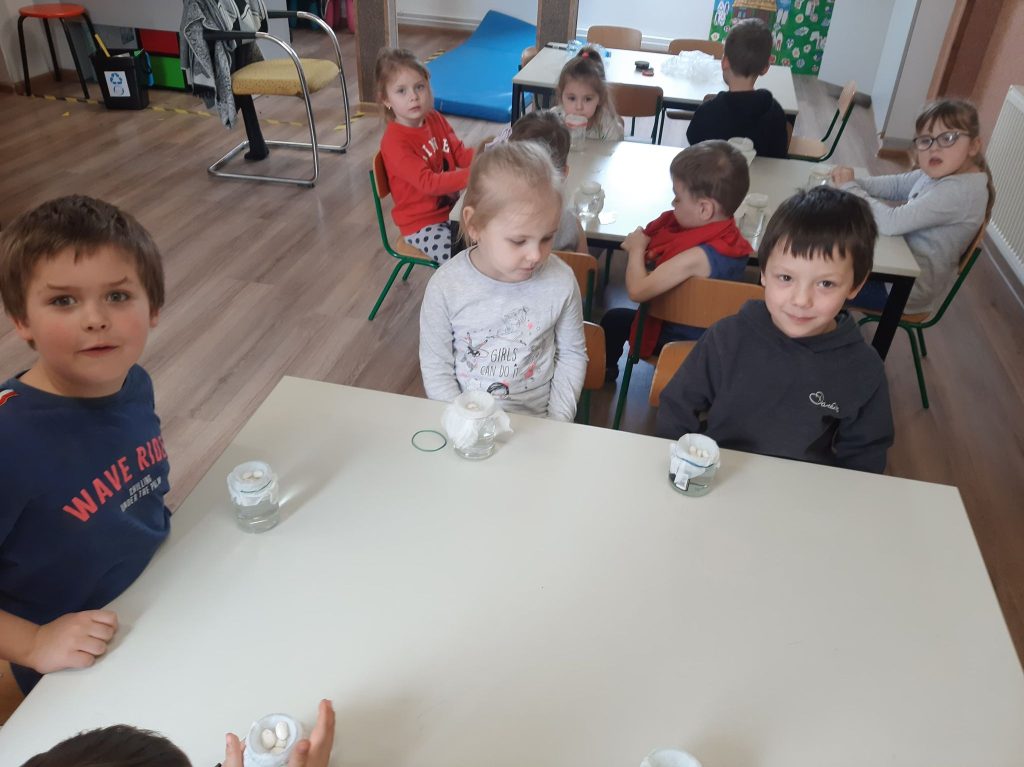 Zajęcia przyrodnicze w grupie 3,4,5 latków